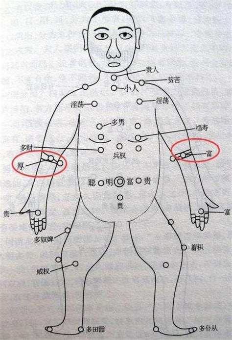 小手臂內側有痣|從手上的痣看你的好運在哪？上手臂有痣善於察言觀色。